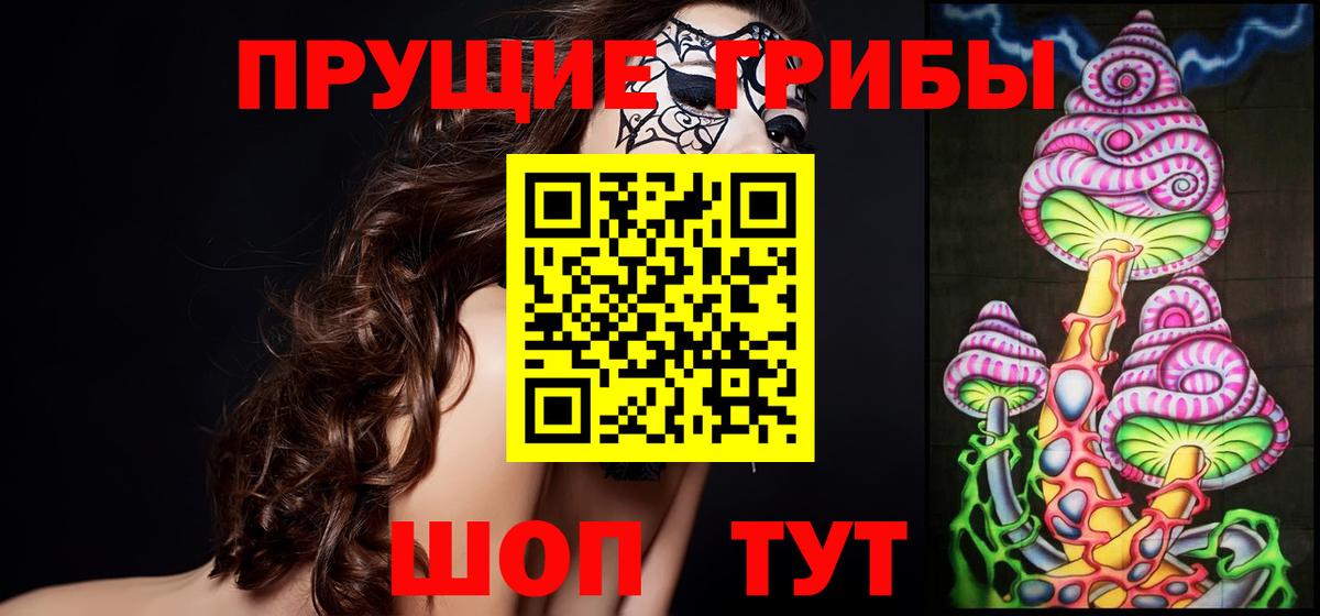 Псилоцибиновые грибы Cubensis Можга
